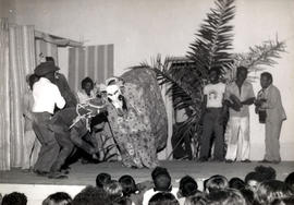 Bumba-meu-boi em homenagem ao Dia do Folclore
